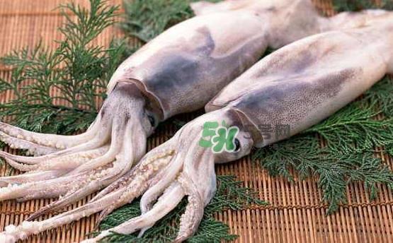 鱿鱼和鸡蛋可以同时食用？鱿鱼不能和什么一起吃