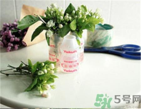 养乐多的瓶子可以做什么?养乐多的瓶子diy