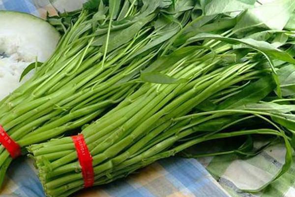 空心菜可以凉拌吗 空心菜凉拌的方法