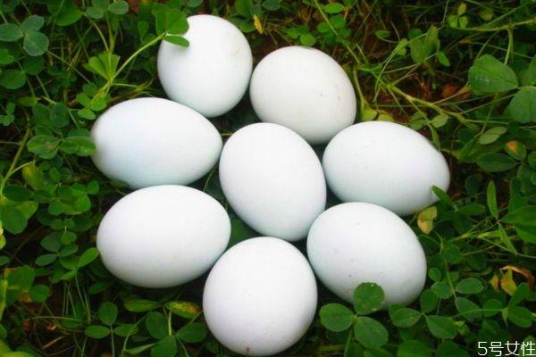 鹅蛋的热量高吗 吃鹅蛋会长胖吗