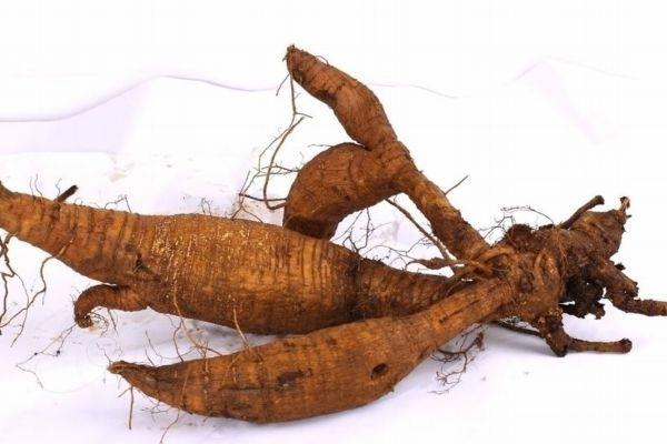 葛根主要分布的地区是哪里呢 吃葛根有什么好处呢