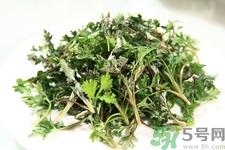 茼蒿孕妇能吃吗?孕妇吃茼蒿有什么好处