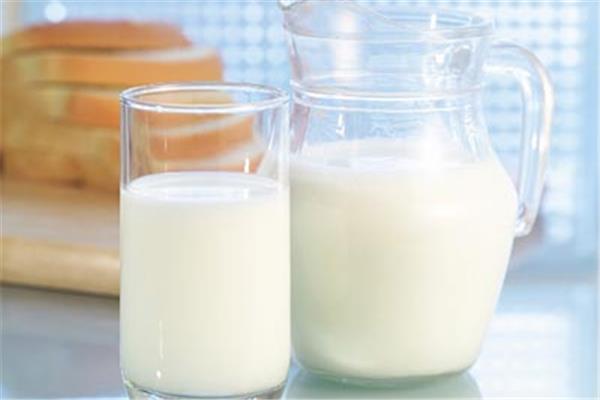 羊奶可以做酸奶吗 羊奶可以做什么美食
