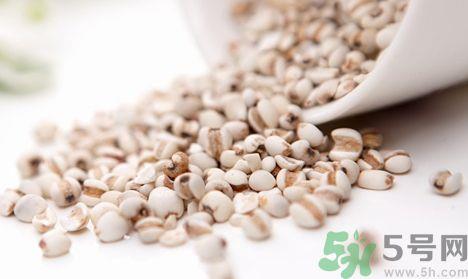 薏米怎么吃最除湿?薏米怎么吃除湿效果好?