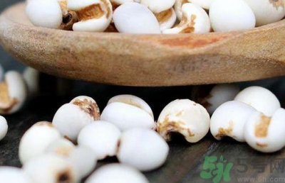 ​薏米怎么吃最除湿?薏米怎么吃除湿效果好?