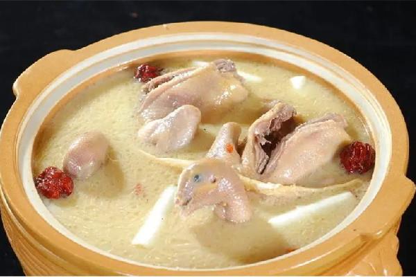 乳鸽汤用不用焯水 乳鸽汤怎么去腥味