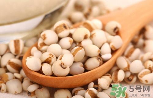 薏米发霉了还能吃吗?薏米发霉图片