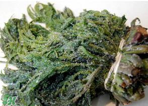 香椿腌制多久可以吃？香椿腌多长时间能吃？