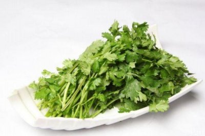 ​吃香菜会上火吗 吃香菜对男人有害处吗