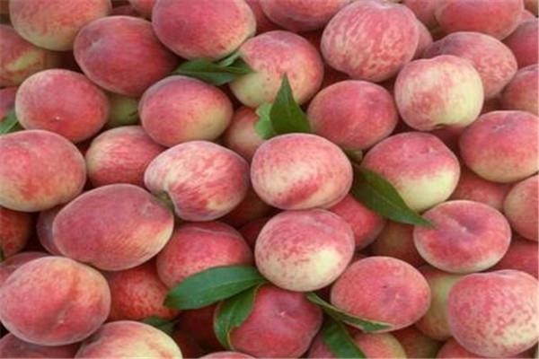 桃子的热量高吗 一般来说桃子的热量不高