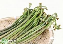 拳头菜的营养价值_拳头菜的功效与作用及食用方法