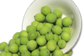 新鲜莲子什么时候有？新鲜莲子几月有？