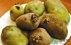 土豆长芽了还能吃吗?土豆长芽了可以吃吗?