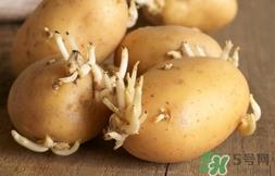 土豆长芽了还能吃吗?土豆长芽了可以吃吗?