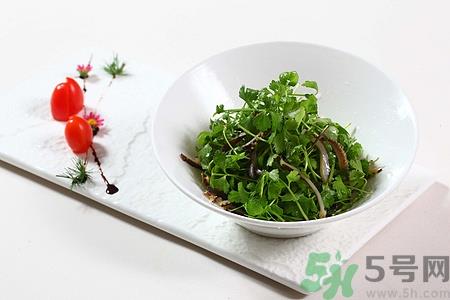 痛风能吃海参吗?痛风病人吃海参会怎么样