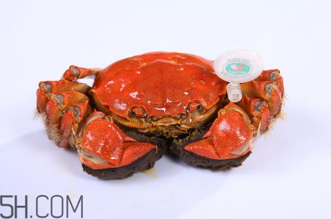 螃蟹和草莓可以一起吃吗？吃了草莓可以吃螃蟹吗？