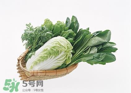 孕妇能吃卷心菜吗?孕妇吃卷心菜好吗