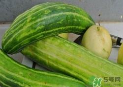 菜瓜到底是不是黄瓜？ 菜瓜和黄瓜的区别