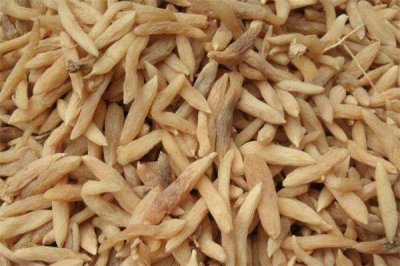 ​麦冬适合什么样的人吃 麦冬什么人不能喝