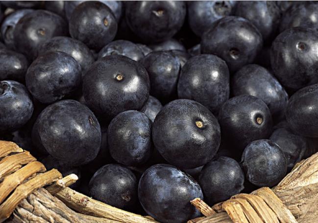 吃蓝莓需要去皮吗 蓝莓上的白霜需要洗掉吗