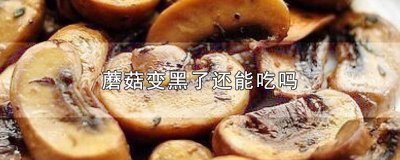 ​蘑菇变黑了还能吃吗