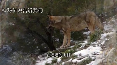 ​＃神秘传说告诉我们＃