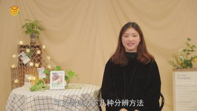 ​美缝剂有没有甲醛