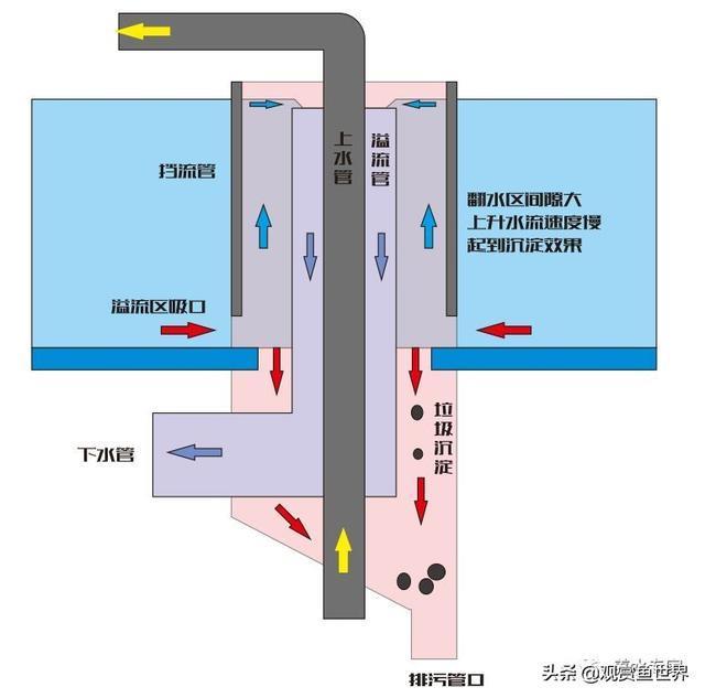 别再傻傻被网络小视频忽悠，你到底需不需要鱼马桶？