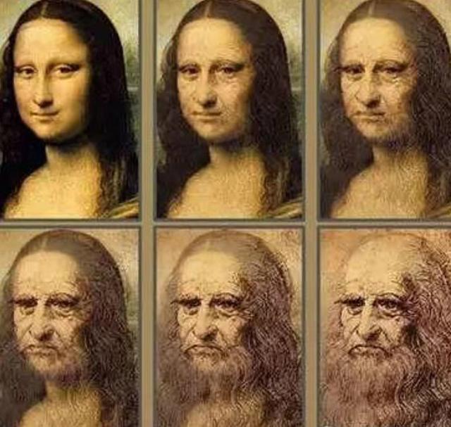 世界名画蒙娜丽莎的微笑简介（西方名画第一弹蒙娜丽莎）(7)