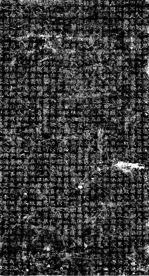 1500岁爬行“鼍(tuo)龙”长什么样？（图）—专家：河北神秘祭祀