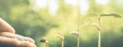 ​地中海家具沙发品牌地中海风格家具品牌介绍