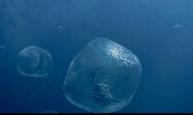 云南虫谷中的几只怪物（在鬼吹灯之云南虫谷中曾出现过哪些怪异生物）(3)