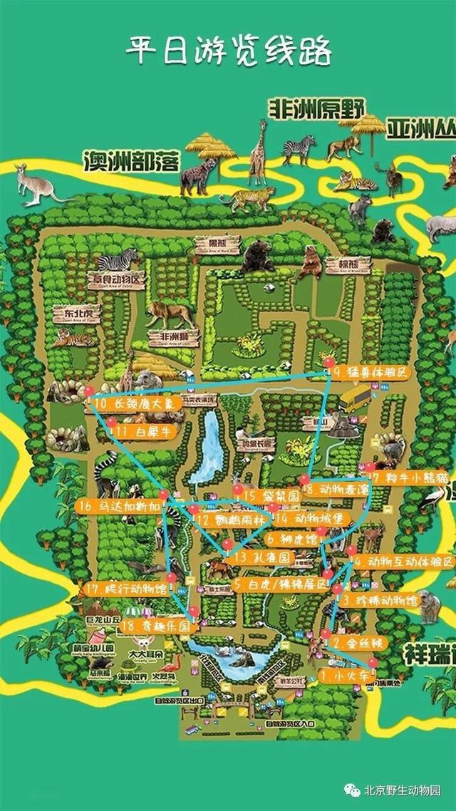 北京大兴野生动物园游玩路线地图（北京野生动物园）(11)