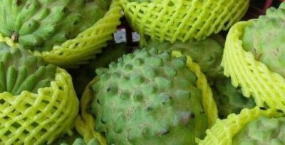 释迦果的功效与禁忌(