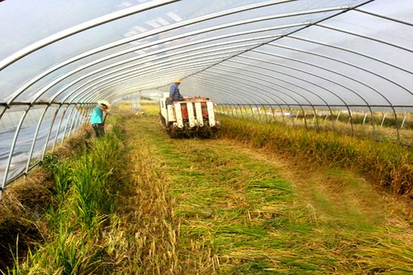 农庄和家庭农场有什么区别（什么叫家庭农场）(9)