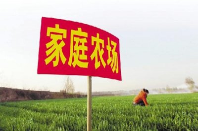 ​农庄和家庭农场有什么区别（什么叫家庭农场）