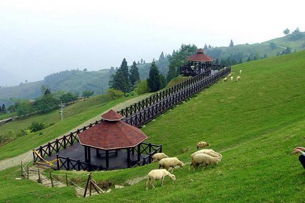 农庄和家庭农场有什么区别（什么叫家庭农场）(7)