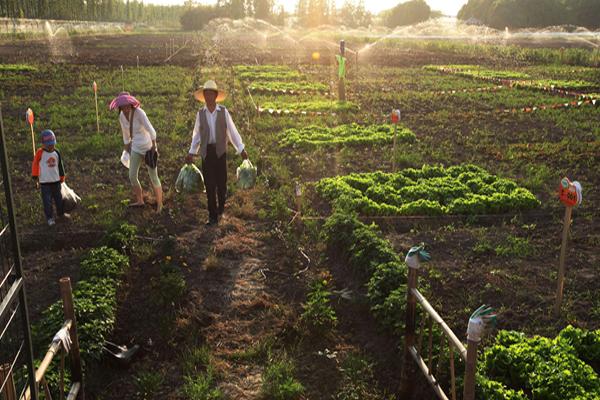 农庄和家庭农场有什么区别（什么叫家庭农场）(2)