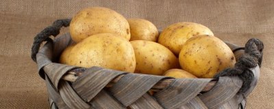 ​士豆不能和什么一起吃