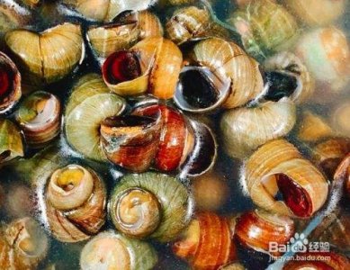 ​田螺怎么洗最快最干净(田螺怎么洗最快最干净视频)