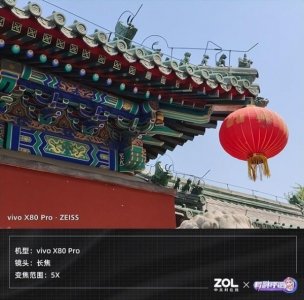 100年 *** 38度(五粮液100年 *** 38度)