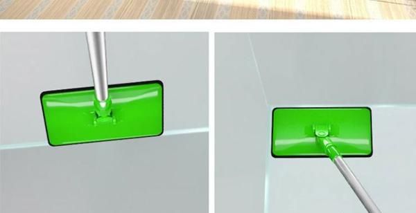 鱼缸起青苔的解决办法，鱼缸长“青苔”怎么办？图4