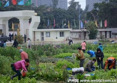 ​元宵节风俗 莫让“偷青”变成“偷窃”