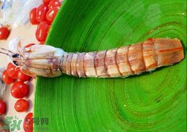 皮皮虾哪些部位不能吃？皮皮虾什么部位不能吃？