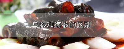 ​海参种类大全 海参的种类介绍及图片