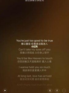 babyiloveyou是什么歌