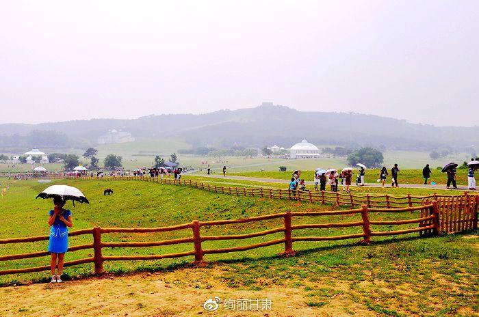 格桑花草原——怜取眼前人