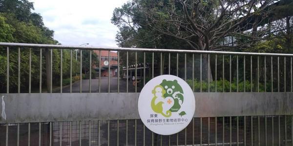 巡山员惊见山羌缩草丛边动不了,疑挣脱捕兽铗而受伤!