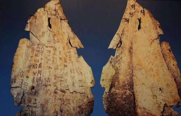 网络图片(侵删)