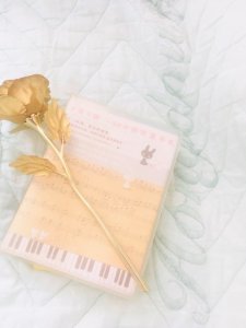 ​耽美小说排行榜（五本好看的耽美奇幻小说排行榜）